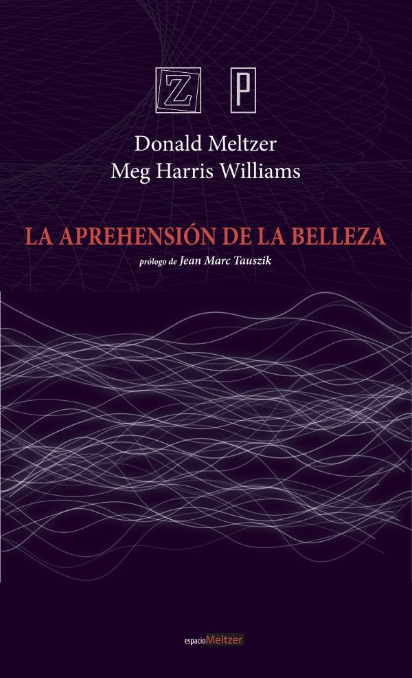 Screenshot Donald Meltzer / Meg Harris Williams - La aprehensión de la belleza